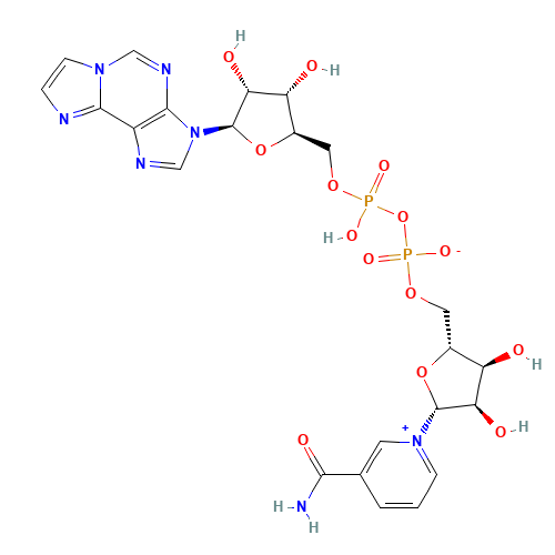 Nicotinamide 1,N6-Ethenoadenine Dinucleotide (CAS: 38806-38-1) - Related Chemical Product