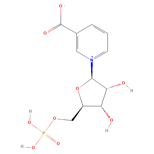 b-Nicotinic Acid Mononucleotide (CAS: 321-02-8) - Related Chemical Product