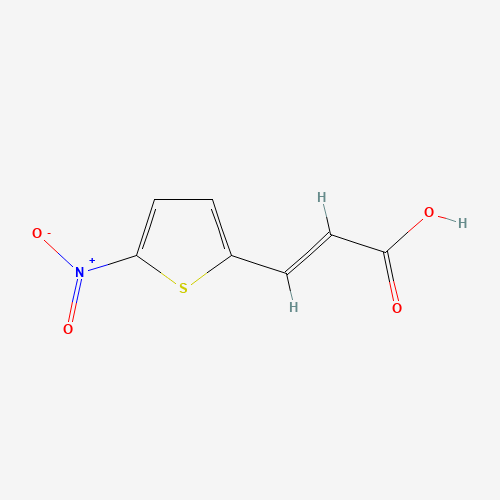 3-(5-Nitro-2-thiophene)acrylic Acid (CAS: 17163-22-3) - Related Chemical Product