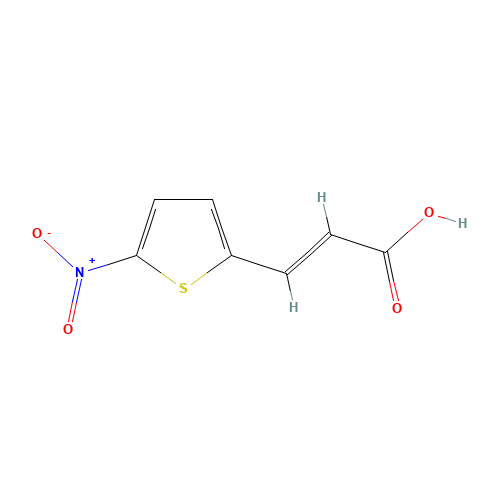 3-(5-Nitro-2-thiophene)acrylic Acid (CAS: 17163-22-3) - Related Chemical Product