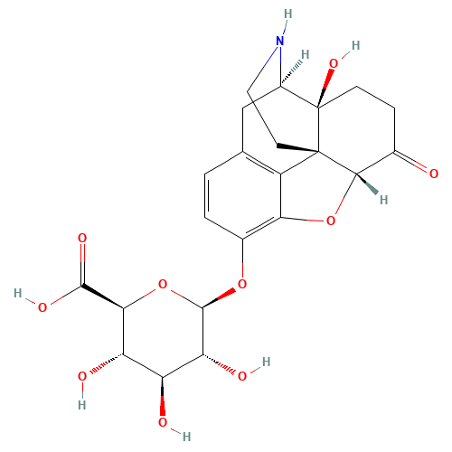 Noroxymorphone b-D-Glucuronide (CAS: 76636-08-3) - Related Chemical Product