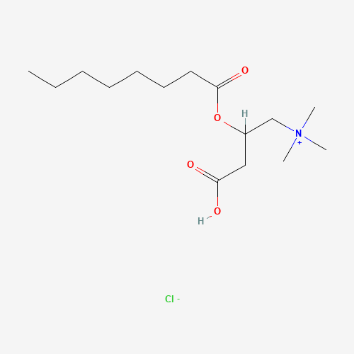 rac Octanoyl Carnitine Chloride (CAS: 14919-35-8) - Related Chemical Product