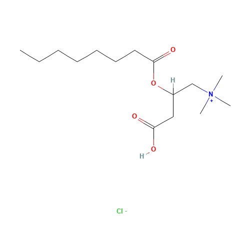 rac Octanoyl Carnitine Chloride (CAS: 14919-35-8) - Related Chemical Product
