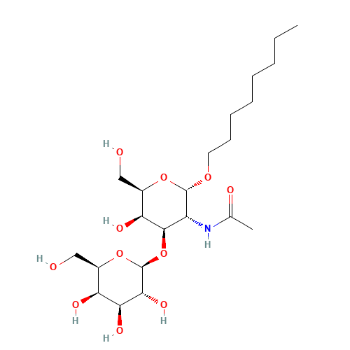 N-Octyl 2-Acetamido-2-deoxy-3-O-(b-D-galactopyranosyl)-a-D-glucopyranoside (CAS: 607353-49-1) - Related Chemical Product