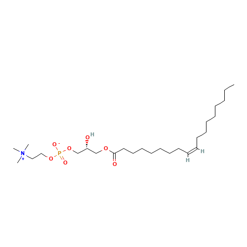 1-Oleoyl-sn-glycero-3-phosphocholine (CAS: 19420-56-5) - Related Chemical Product