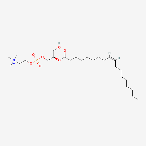 2-Oleoyl-sn-glycero-3-phosphocholine (CAS: 22248-65-3) - Related Chemical Product