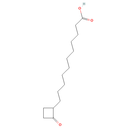 2-Oxo-cyclobutane Undecanoic Acid (CAS: 169263-77-8) - Related Chemical Product