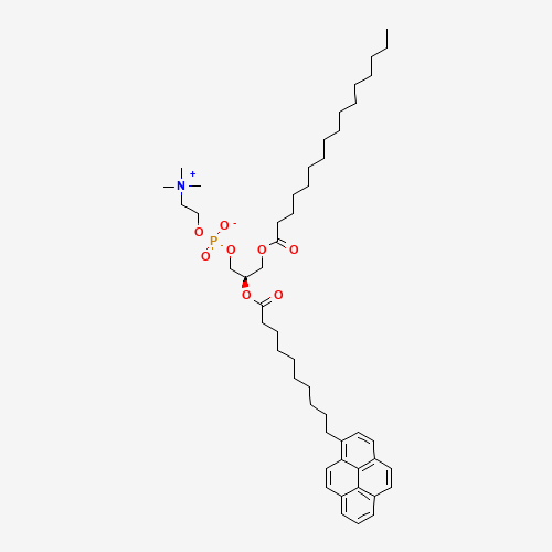1-Palmitoyl-2-pyrenedecanoylphosphatidylcholine (CAS: 95864-17-8) - Related Chemical Product