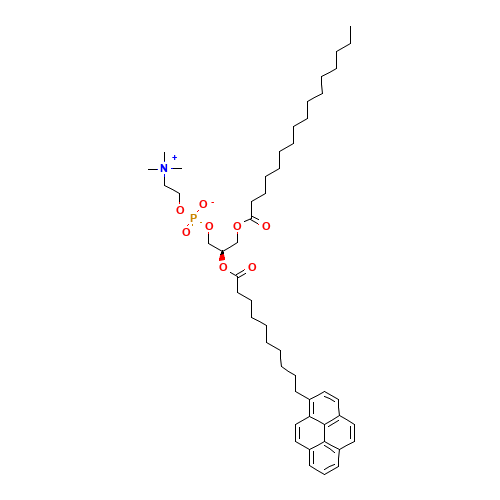 1-Palmitoyl-2-pyrenedecanoylphosphatidylcholine (CAS: 95864-17-8) - Related Chemical Product