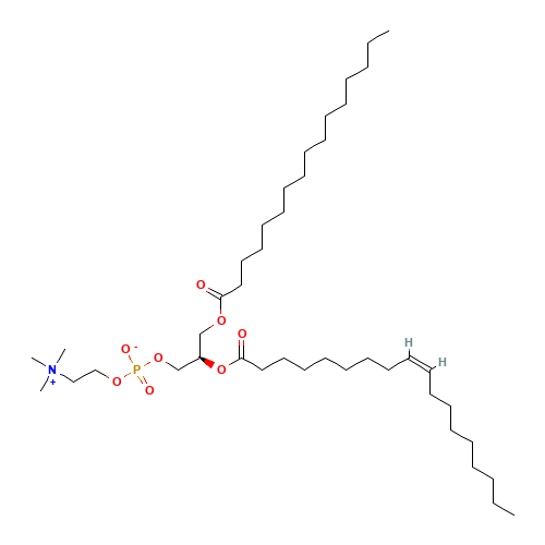 1-Palmitoyl-2-oleoyl-sn-glycerol-3-phosphocholine (CAS: 70778-75-5) - Related Chemical Product