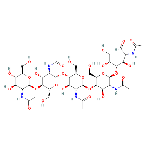 N,N',N'',N''',N''''-Pentaacetylchitopentaose (CAS: 36467-68-2) - Related Chemical Product