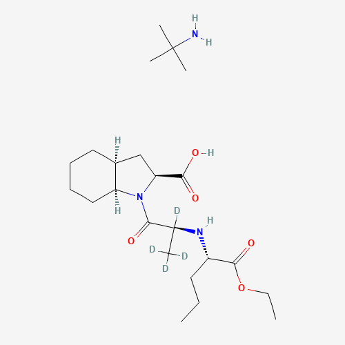 Perindopril-d4 t-Butylamine Salt (CAS: 1356929-59-3) - Related Chemical Product