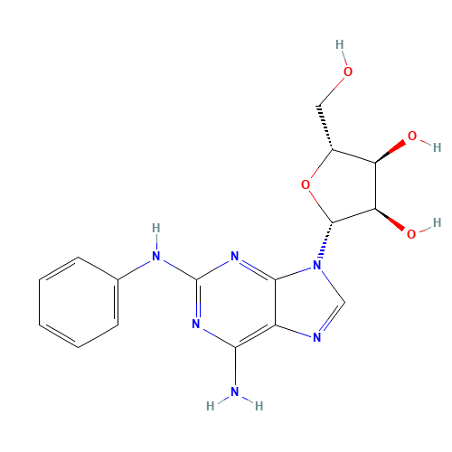 2-Phenylamino Adenosine (CAS: 53296-10-9) - Related Chemical Product