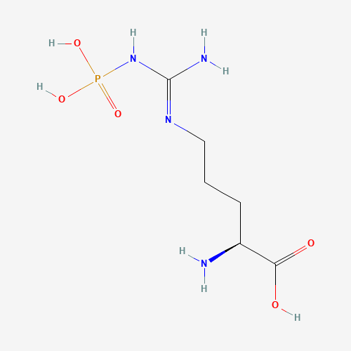 Phospho-L-arginine Trisodium Salt (CAS: 1189-11-3) - Related Chemical Product
