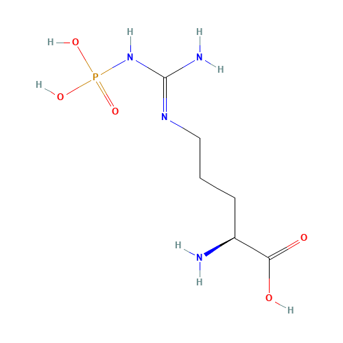 Phospho-L-arginine Trisodium Salt (CAS: 1189-11-3) - Related Chemical Product