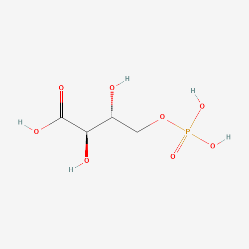 4-Phospho D-Erythronate (CAS: 57229-25-1) - Related Chemical Product