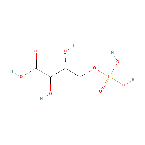 4-Phospho D-Erythronate (CAS: 57229-25-1) - Related Chemical Product