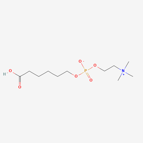 6-(O-Phosphorylcholine)hydroxyhexanoic Acid (CAS: 73839-24-4) - Related Chemical Product