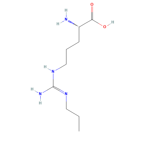 Nω-Propyl-L-Arginine (CAS: 137361-05-8) - Chemical Structure and Molecular Formula 