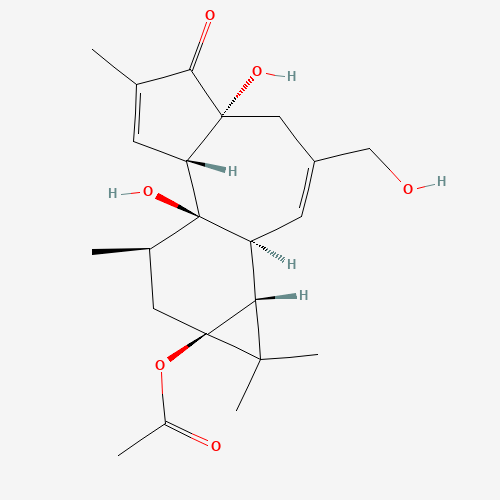 Prostratin (CAS: 60857-08-1) - Related Chemical Product