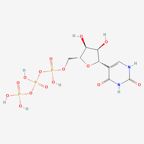 Pseudouridine 5'-Triphosphate,  >85% (CAS: 1175-34-4) - Related Chemical Product