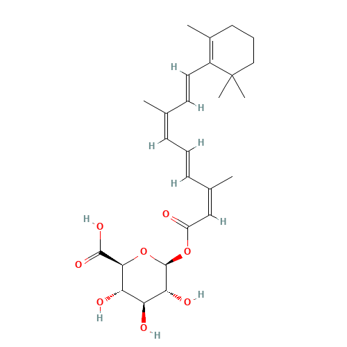 13-cis Retinoyl b-D-Glucuronide, >85% By HPLC (CAS: 78147-42-9) - Related Chemical Product