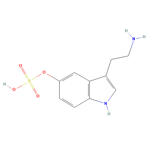 Serotonin O-Sulfate (CAS: 16310-20-6) - Related Chemical Product