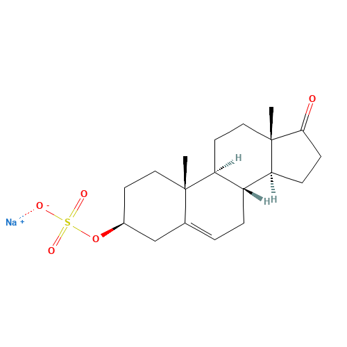 Sodium Prasterone Sulfate (CAS: 1099-87-2) - Related Chemical Product