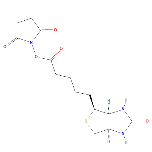 N-Succinimido (+)-Biotin (CAS: 35013-72-0) - Related Chemical Product