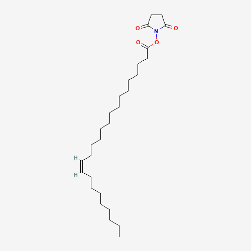 Succinimidyl Nervonate (CAS: 191354-88-8) - Related Chemical Product