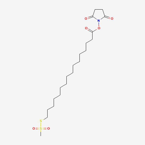 N-Succinimidyloxycarbonylpentadecyl Methanethiosulfonate (CAS: 887407-52-5) - Related Chemical Product