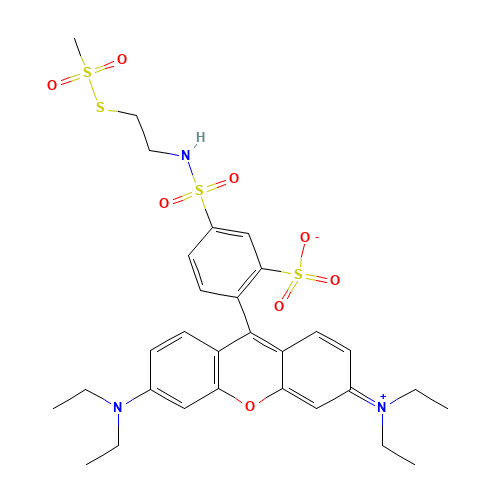 Sulfo Rhodamine Methanethiosulfonate, 98% (CAS: 386229-71-6) - Related Chemical Product