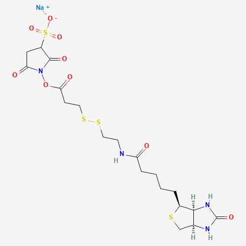 Sulfosuccinimidyl 3-[[2-(Biotinamido)ethyl] dithio]propionate Sodium Salt (CAS: 325143-98-4) - Related Chemical Product