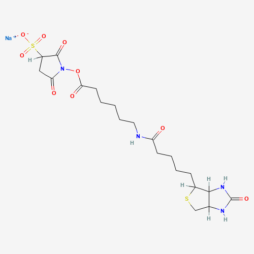 Sulfo-N-succinimidyl 6-(biotinamido) hexanoate Sodium Salt (CAS: 191671-46-2) - Related Chemical Product