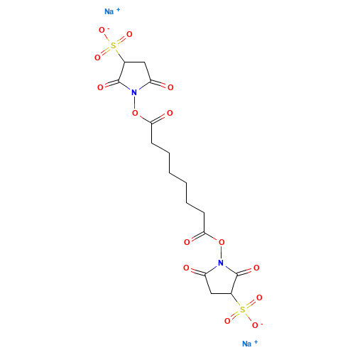 Suberate Bis(sulfosuccinimidyl) Sodium Salt (~85%) (CAS: 127634-19-9) - Related Chemical Product