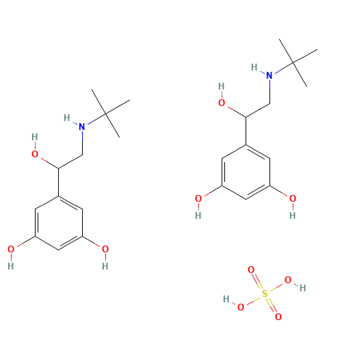 Terbutaline Hemisulfate Salt (CAS: 23031-32-5) - Related Chemical Product