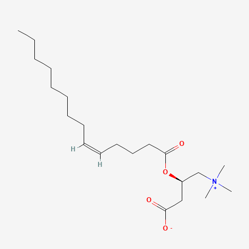 5-cis-Tetradecenoyl Carnitine (CAS: 1186416-86-3) - Related Chemical Product