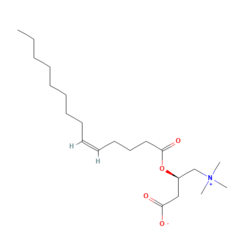 5-cis-Tetradecenoyl Carnitine (CAS: 1186416-86-3) - Related Chemical Product