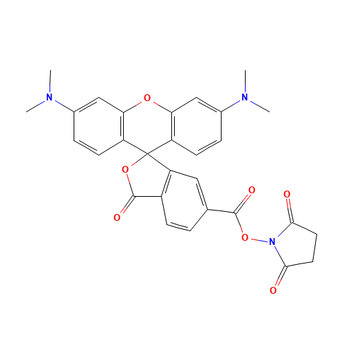 2-(6-Tetramethylrhodamine)carboxylic Acid N-Hydroxysuccinimide Ester (CAS: 1027512-41-9) - Related Chemical Product
