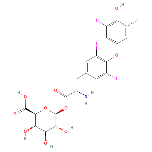 Thyroxine Acyl-b-D-Glucuronide (CAS: 909880-81-5) - Related Chemical Product