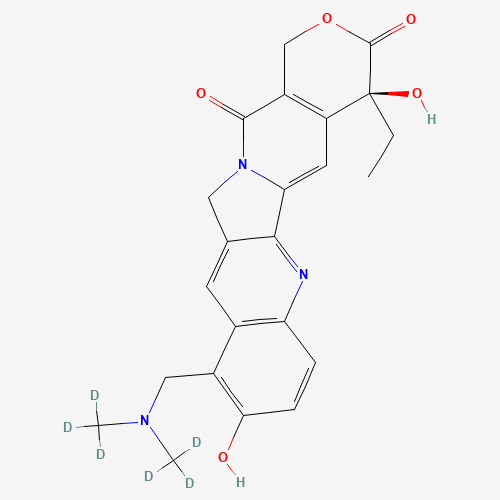 Topotecan-d6 (CAS: 1044904-10-0) - Related Chemical Product