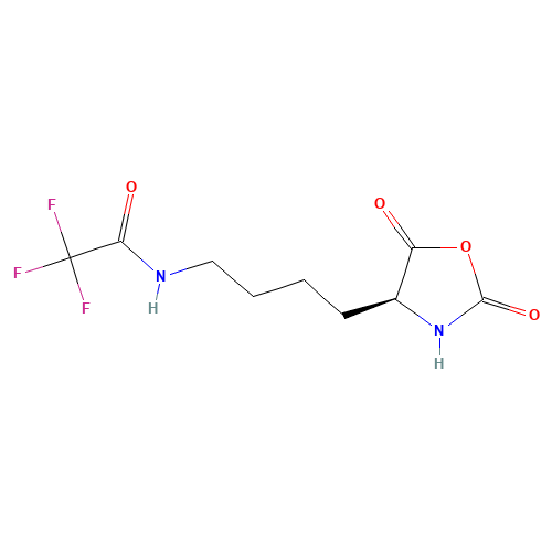 N6-Trifluoroacetyl-L-lysine N-Carboxyanhydride (CAS: 42267-27-6) - Related Chemical Product