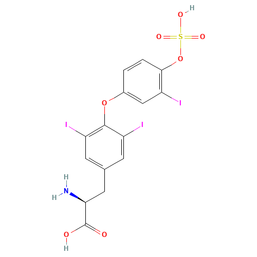 3,3',5-Triiodo-L-thyronine 4'-O-Sulfate (CAS: 31135-55-4) - Related Chemical Product