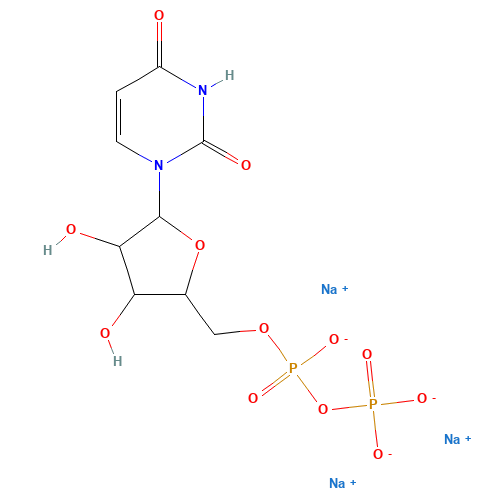 Uridine 5'-Diphosphate Sodium Salt (CAS: 21931-53-3) - Related Chemical Product
