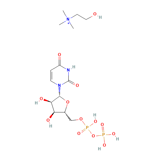 Uridine Diphosphate Choline (CAS: 99492-83-8) - Related Chemical Product