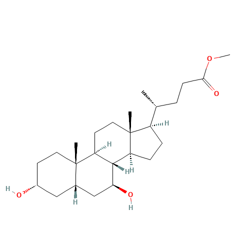 Ursodeoxycholic Acid Methyl Ester (CAS: 10538-55-3) - Related Chemical Product