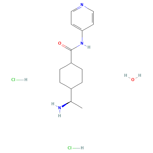 Y-27632 Dihydrochloride Hydrate (CAS: 331752-47-7) - Related Chemical Product