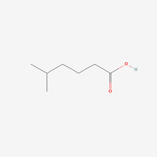 5-Methylhexanoic acid (CAS: 628-46-6) - Related Chemical Product