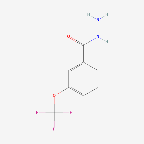 3-(Trifluoromethoxy)benzhydrazide (CAS: 321195-88-4) - Related Chemical Product