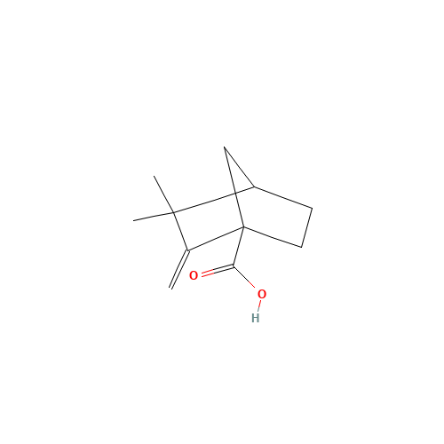 3,3-Dimethyl-2-methylene-bicyclo[2.2.1]-heptane-1-carboxylic acid (CAS: 10309-20-3) - Related Chemical Product